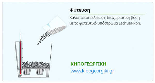 Αρχική Φάση Φύτευσης